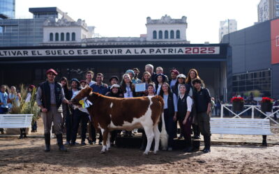 La Cabaña Agrarias de Lomas hizo historia en la Expo Rural: Yoli y Toribio, campeones de la raza Criolla 
