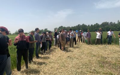 Lobos fue sede de la Primera Jornada de Trigo organizada por la Facultad en la región