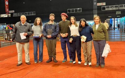 Agrarias impulsó un concurso de jurados sobre la raza Romney Marsh en la Expo Rural de Palermo