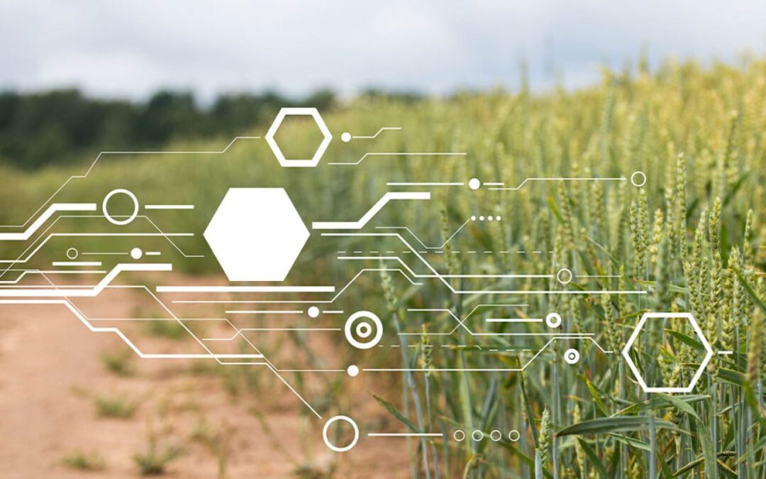 La UNLZ-Agrarias lanza la Diplomatura en Agricultura de Precisión junto al Polo Tecnológico y Productivo de Salto Grande