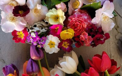 Está abierta la inscripción a la Maestría en Floricultura en Agrarias de la UNLZ