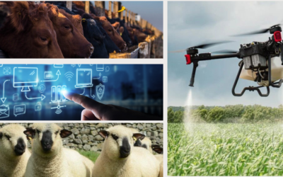 Nuevas diplomaturas a iniciarse durante abril