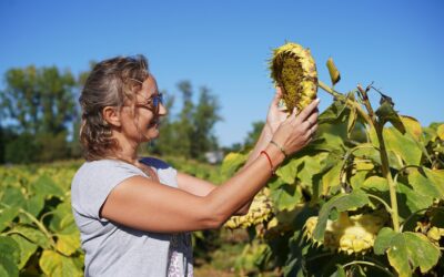 La curiosidad y el espíritu colaborador son fundamentales para la investigación científica