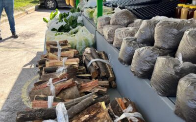 Se puso en marcha el Carro Almacén Agrarias “Don Nino”, un nuevo espacio para comercializar la producción de la Facultad